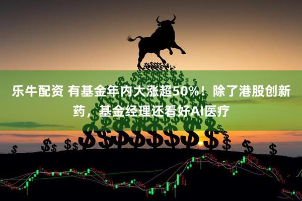 乐牛配资 有基金年内大涨超50%！除了港股创新药，基金经理还看好AI医疗