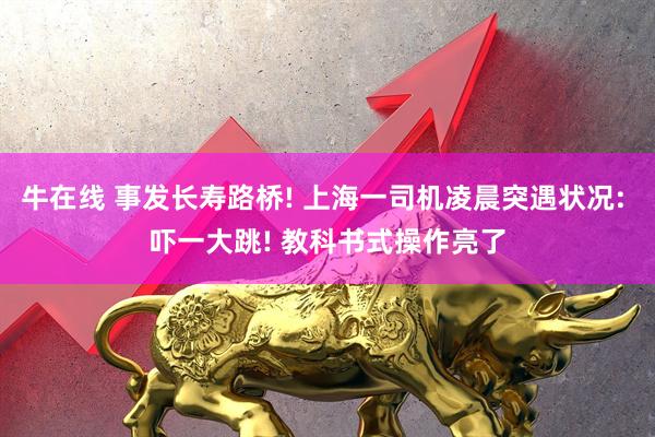牛在线 事发长寿路桥! 上海一司机凌晨突遇状况: 吓一大跳! 教科书式操作亮了