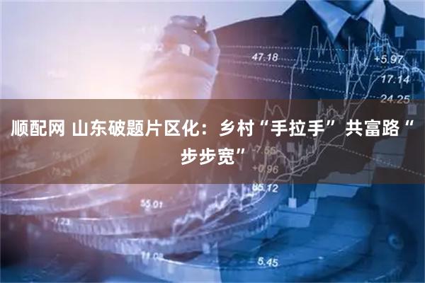 顺配网 山东破题片区化：乡村“手拉手” 共富路“步步宽”